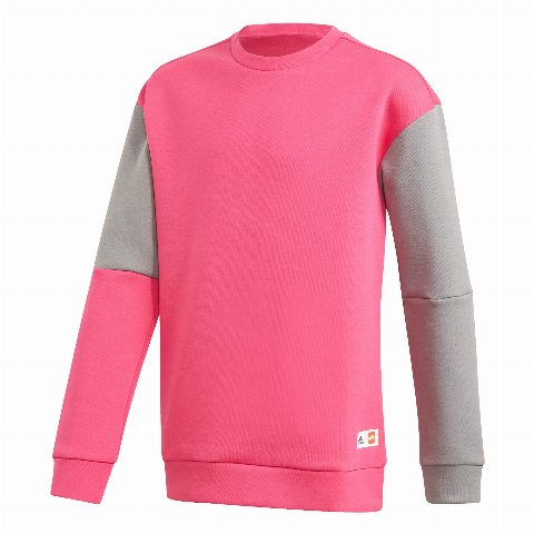 Zestaw LEGO® adidas x Classic LEGO Bricks Sweatshirt (Gear)