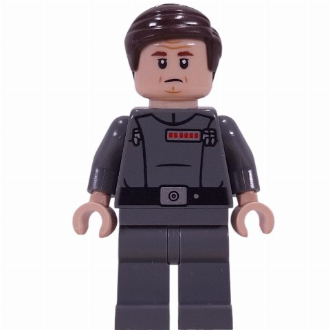 Minifigurka General Tagge