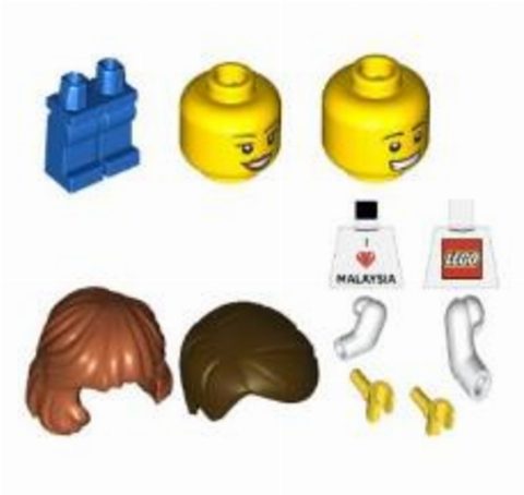Zestaw LEGO I Love Malaysia Minifigures (LEGO Brand Store)